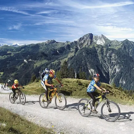 Alpina Alpendorf فندق سانكت يوهان ايم بونغ