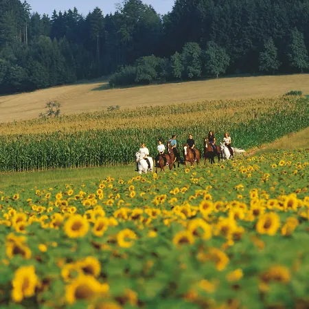 Alpina Alpendorf ホテル ザンクト・ヨーハン・イム・ポンガウ